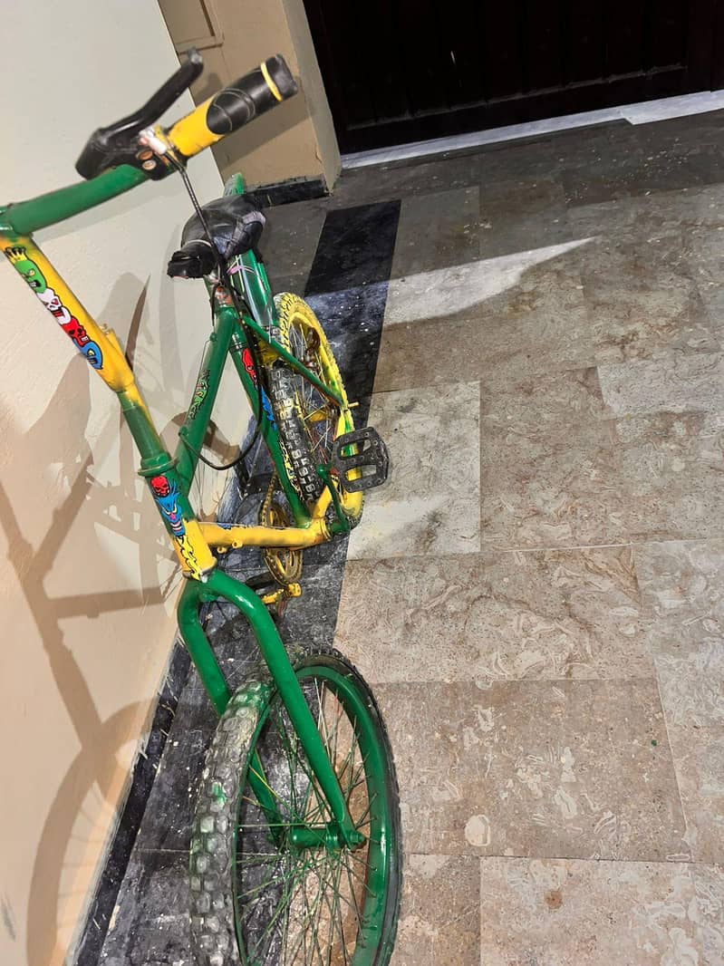 phonix cycle 6