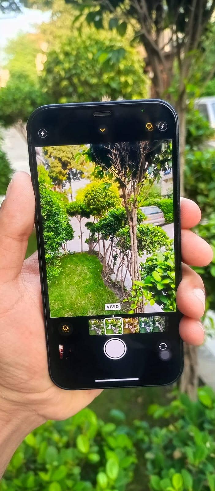 Apple iPhone 12 1