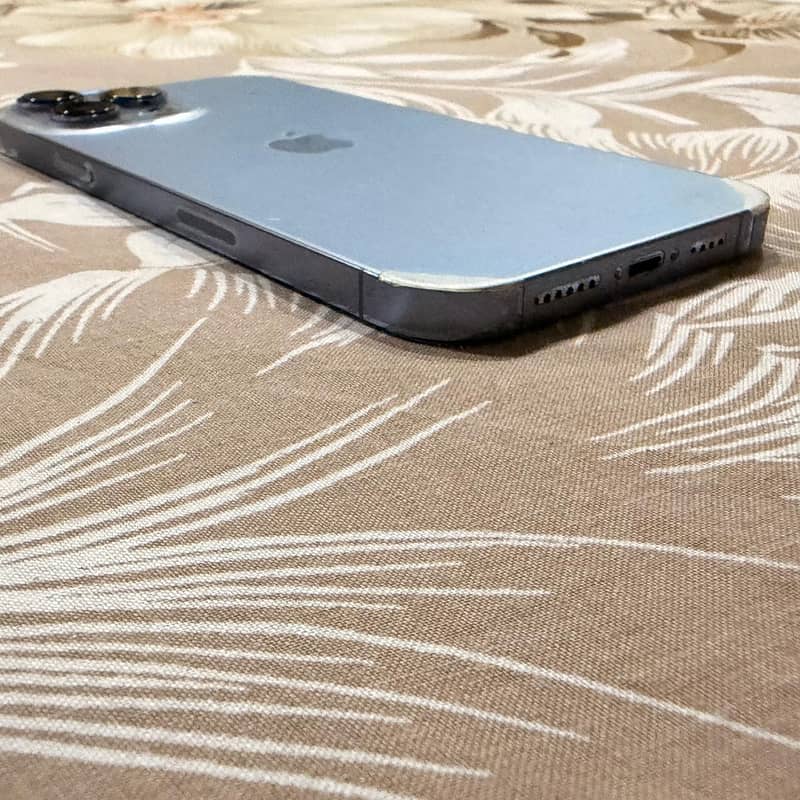 Apple iPhone 13 Pro Max 3