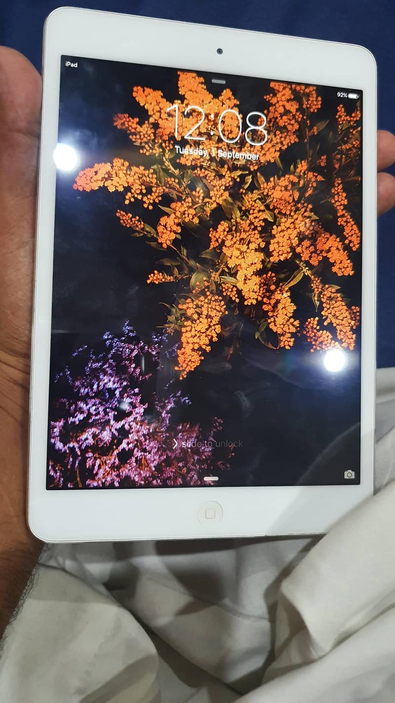 ipad mini 1st Generation 1