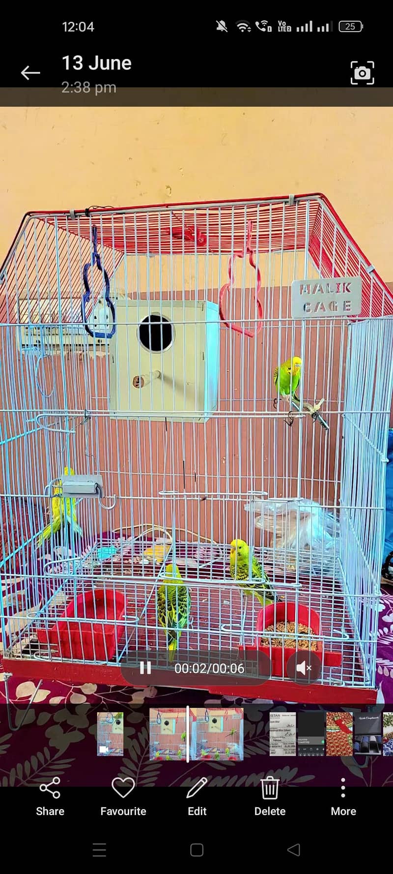 parrots 0
