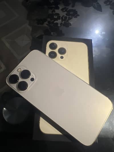 Apple iPhone 13 Pro Max