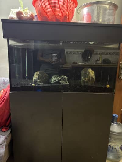 Fish Aquarium