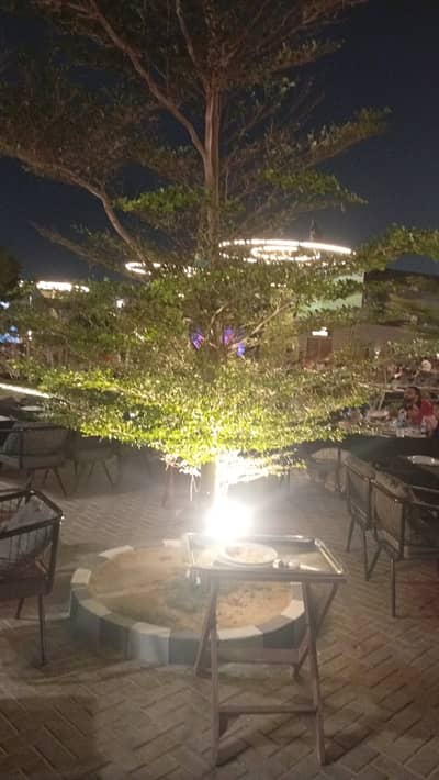 Need staff for restaurant