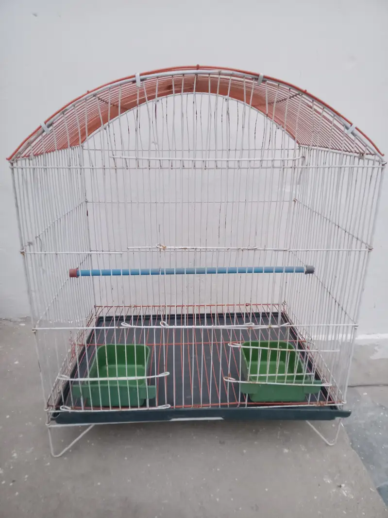 cage for sale