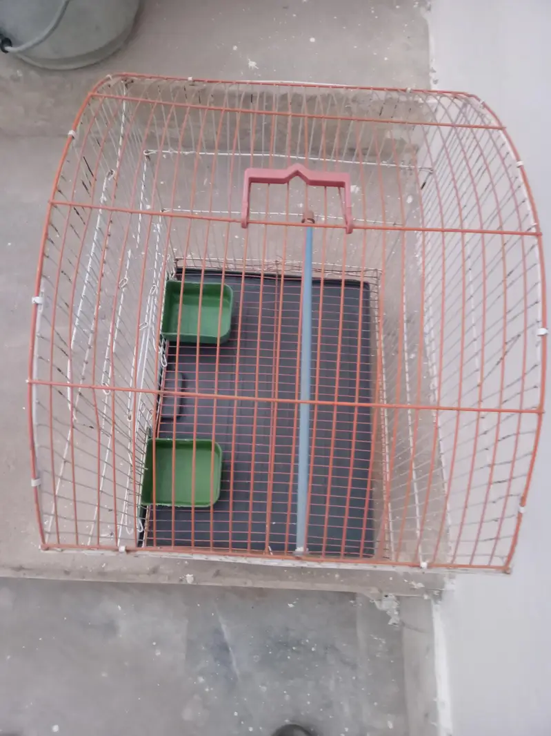 cage for sale — photo 2