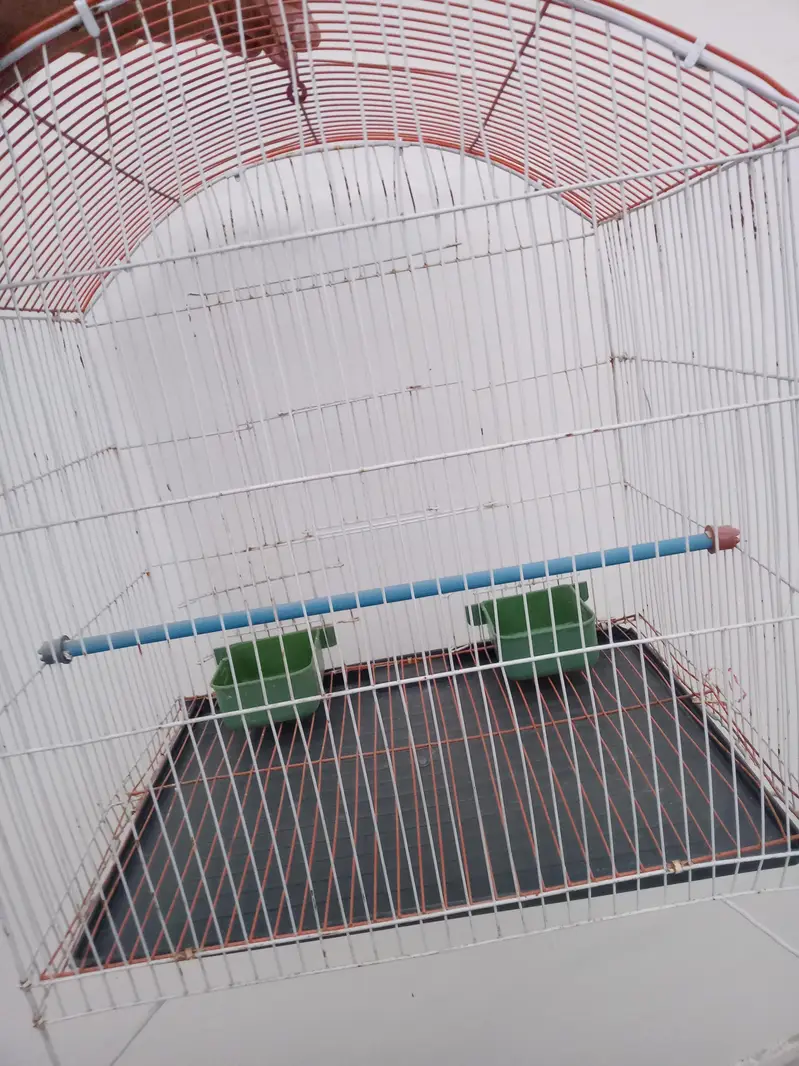 cage for sale — photo 3