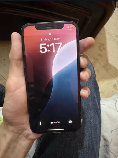 Apple iPhone 12 jv