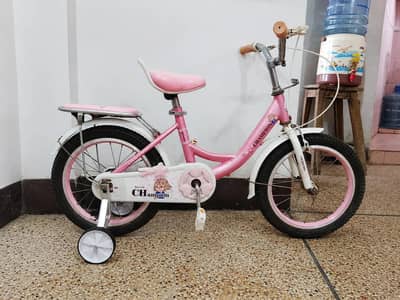 Champion Imported Cycle - 16 size - 0320/2257/271