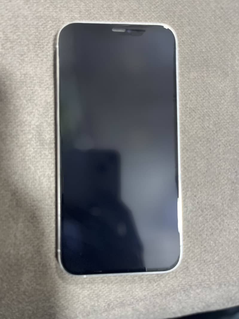 Apple iPhone 12 Pro Max 2