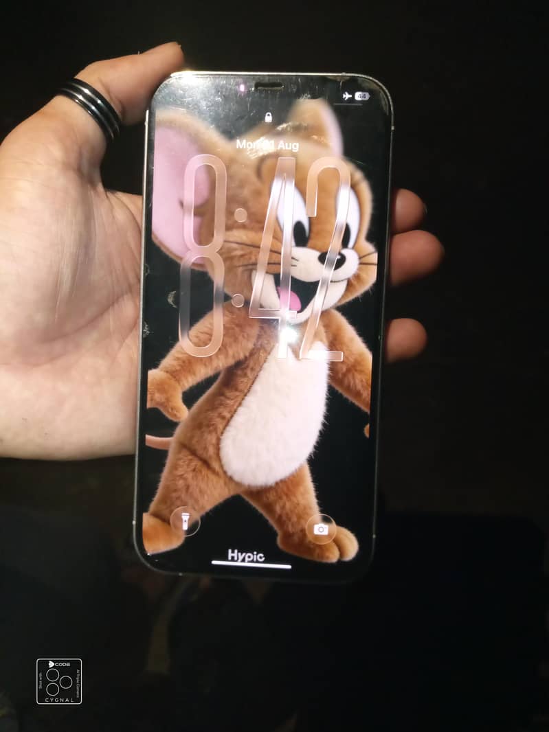 Apple iPhone 12 Pro Max 2
