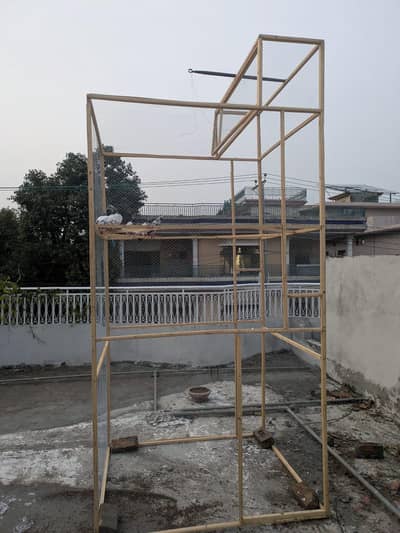 pigeon cage for sale