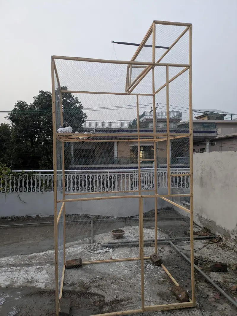 pigeon cage for sale