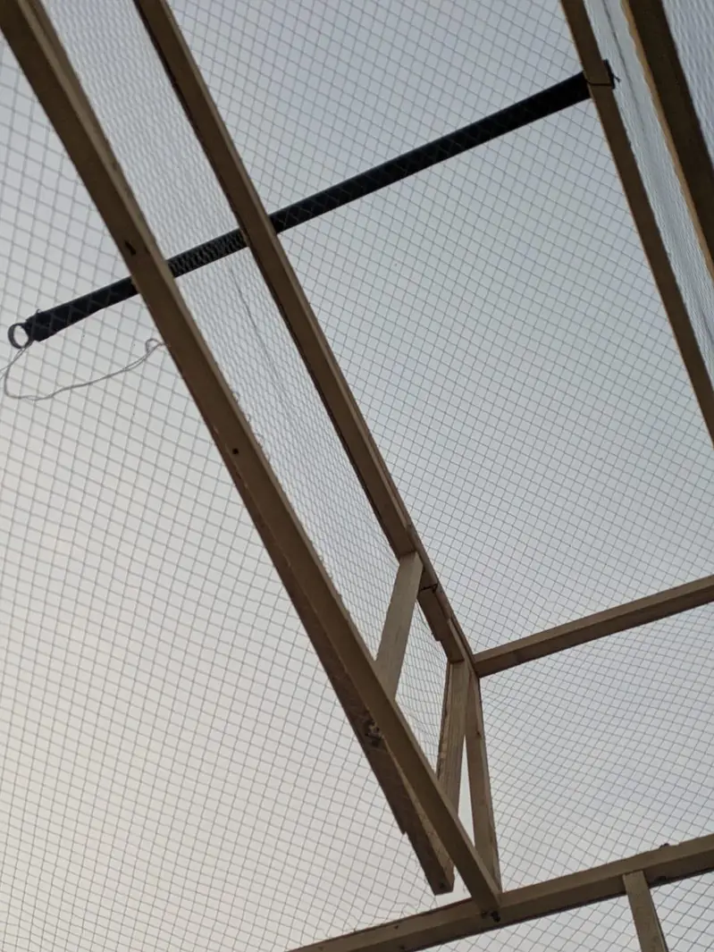 pigeon cage for sale — photo 3