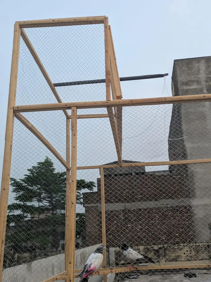 pigeon cage for sale — photo 9