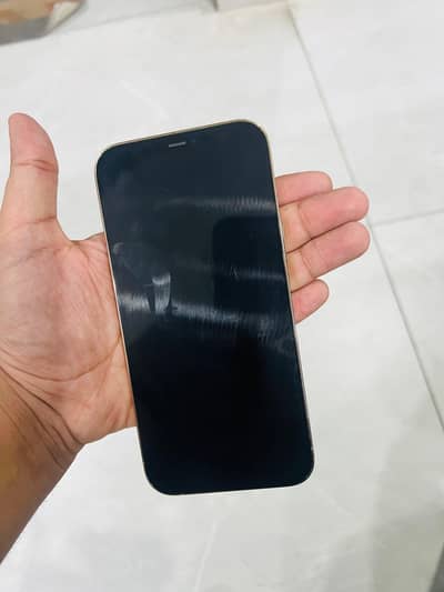 Apple iPhone 12 Pro Max