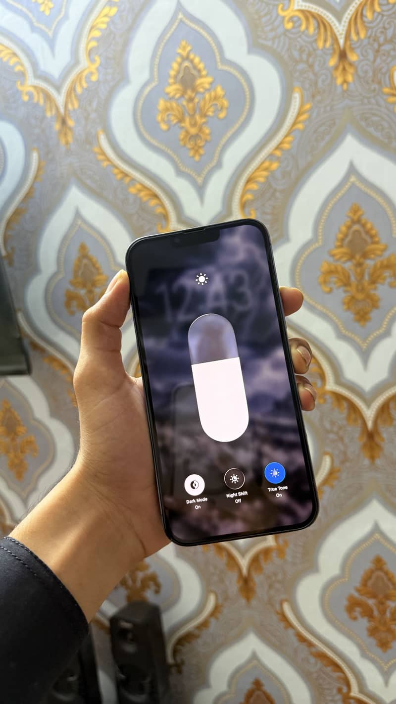 IPhone 13 Pro Max exchange possible 1