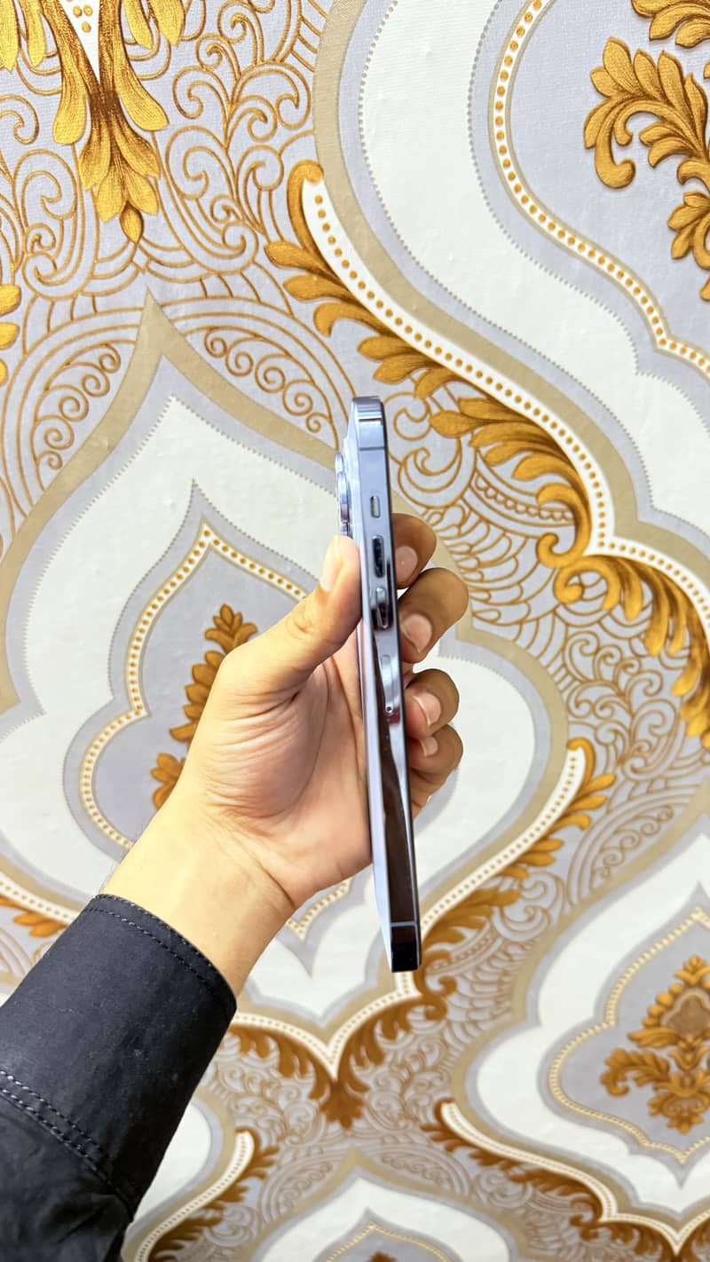 IPhone 13 Pro Max exchange possible 5