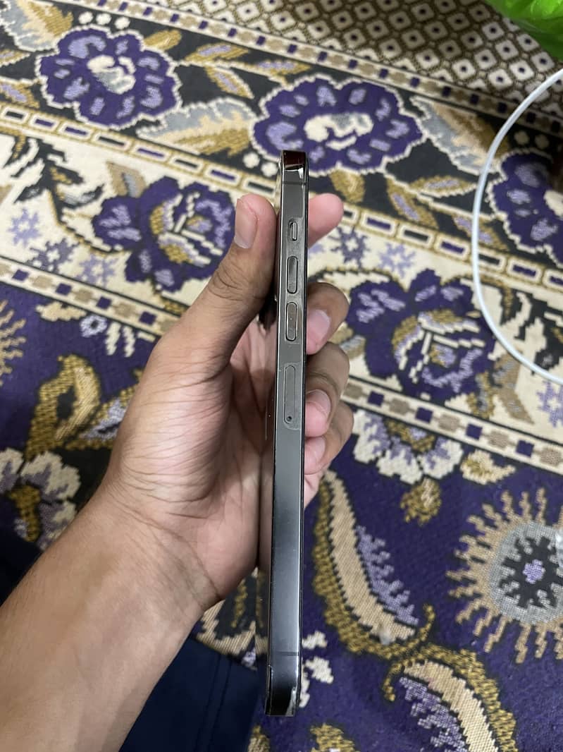 Apple iPhone 13 Pro Max 5