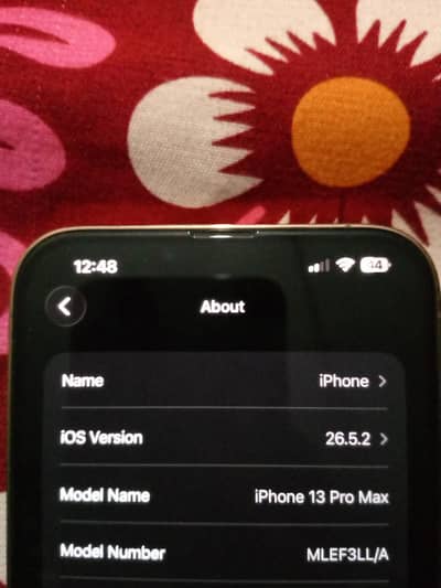 Apple iPhone 13 Pro Max
