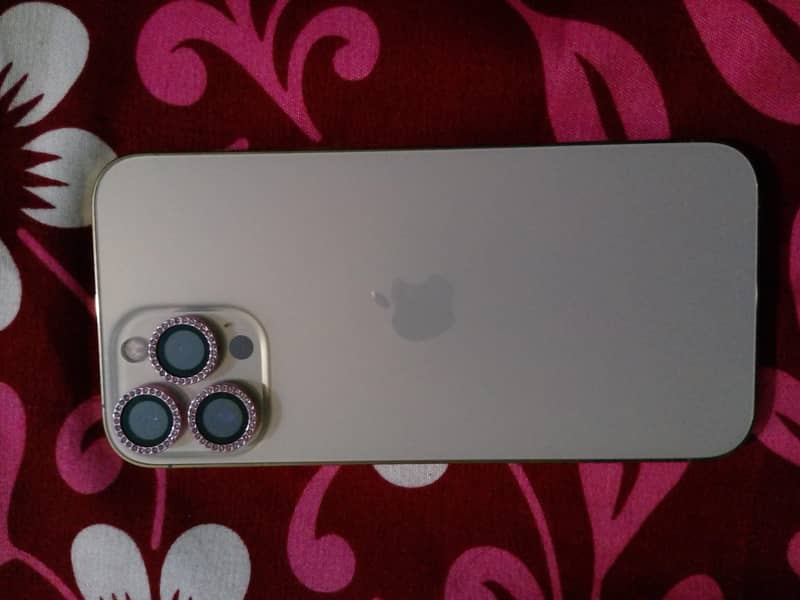 Apple iPhone 13 Pro Max 1