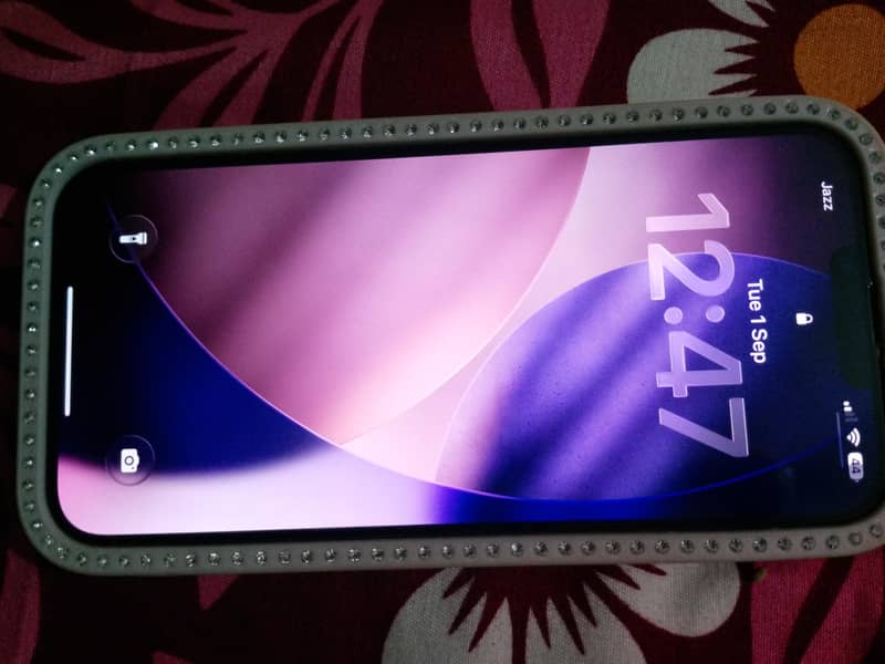 Apple iPhone 13 Pro Max 2
