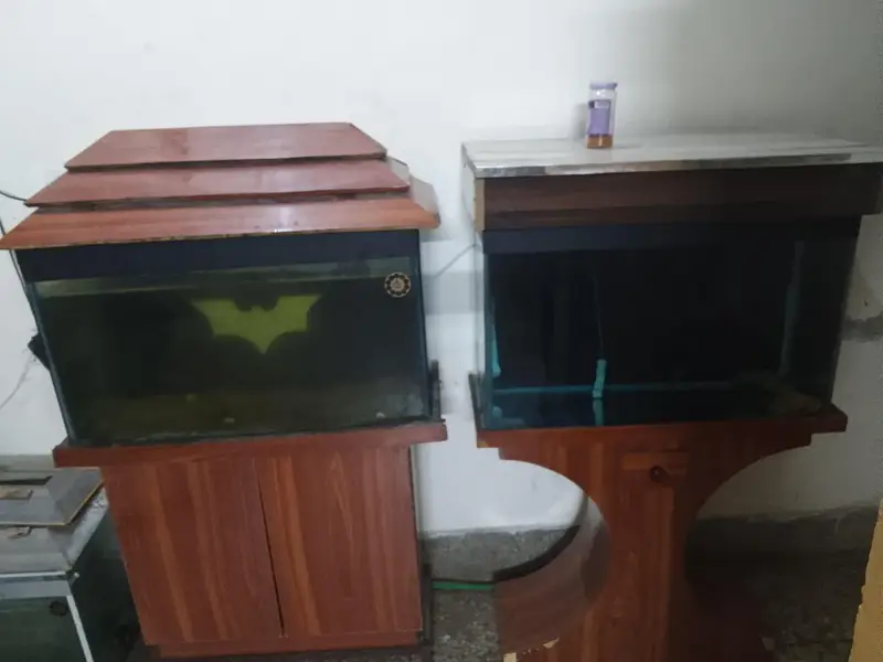aquarium 2.5 — photo 2