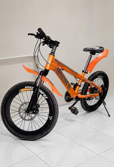 BDF MTB japanese bicycle with 10th speed gears