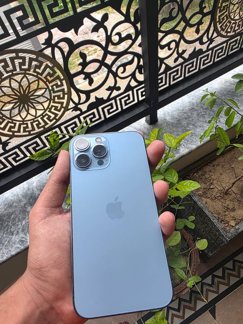 Apple iPhone 13 Pro Max 1