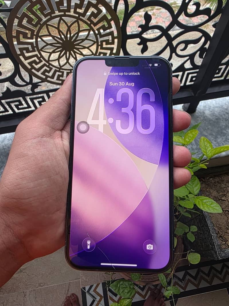 Apple iPhone 13 Pro Max 2