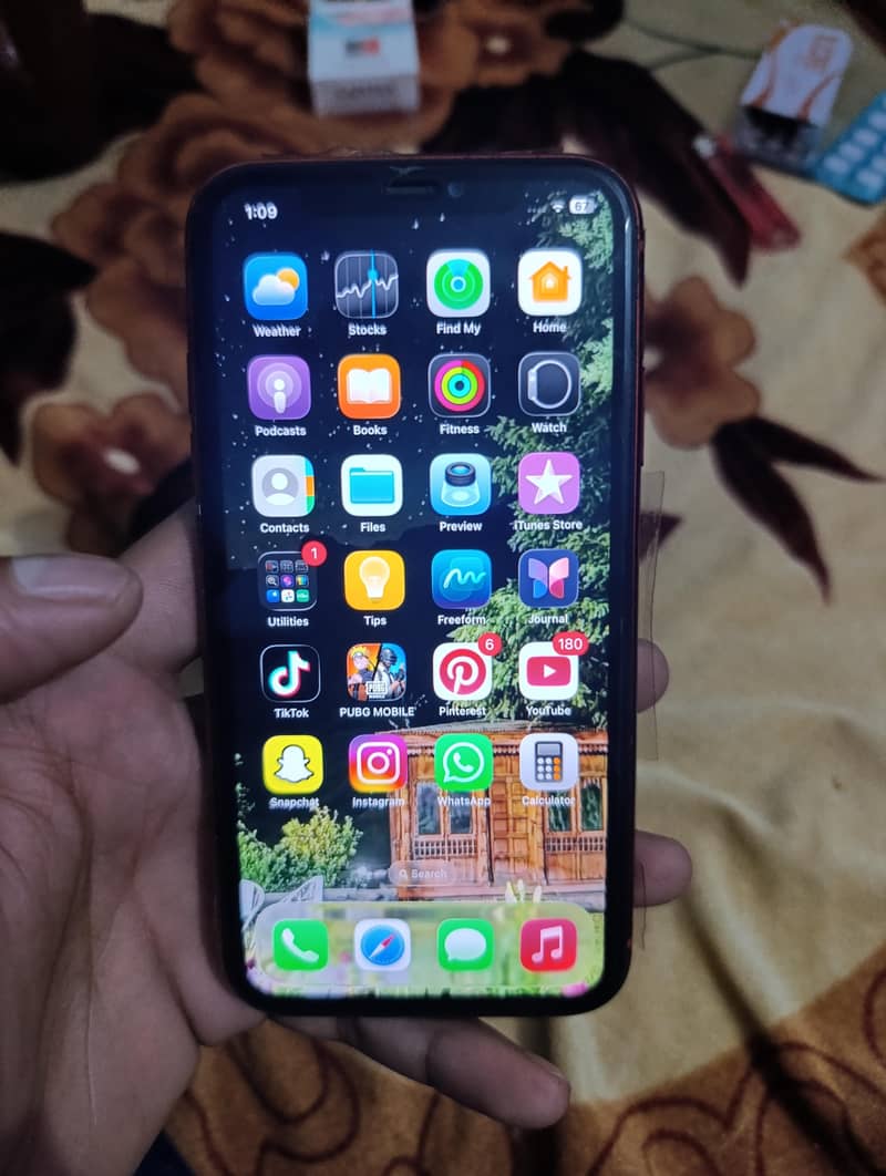 Apple iPhone 11 0
