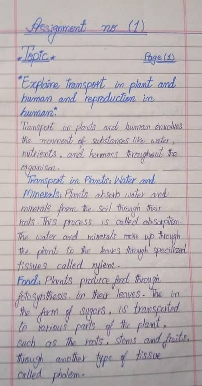 Assignment writing