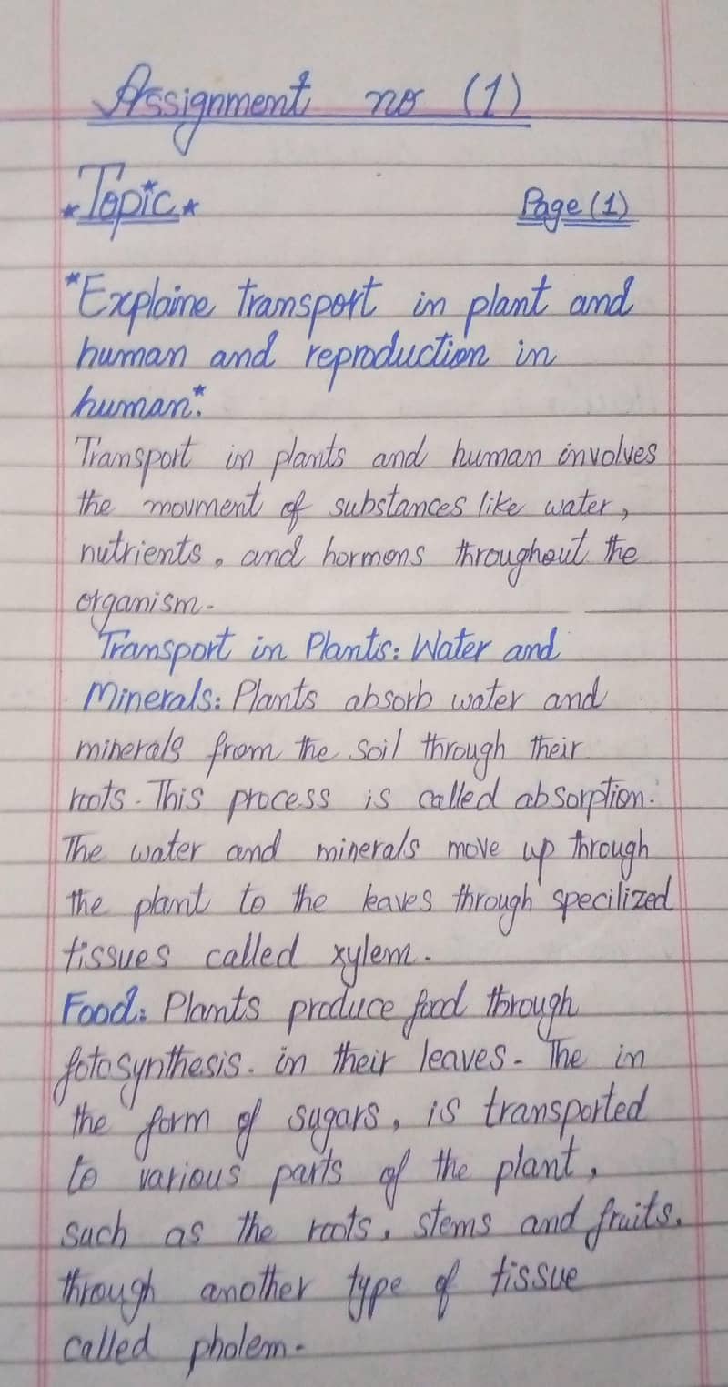 Assignment writing 0