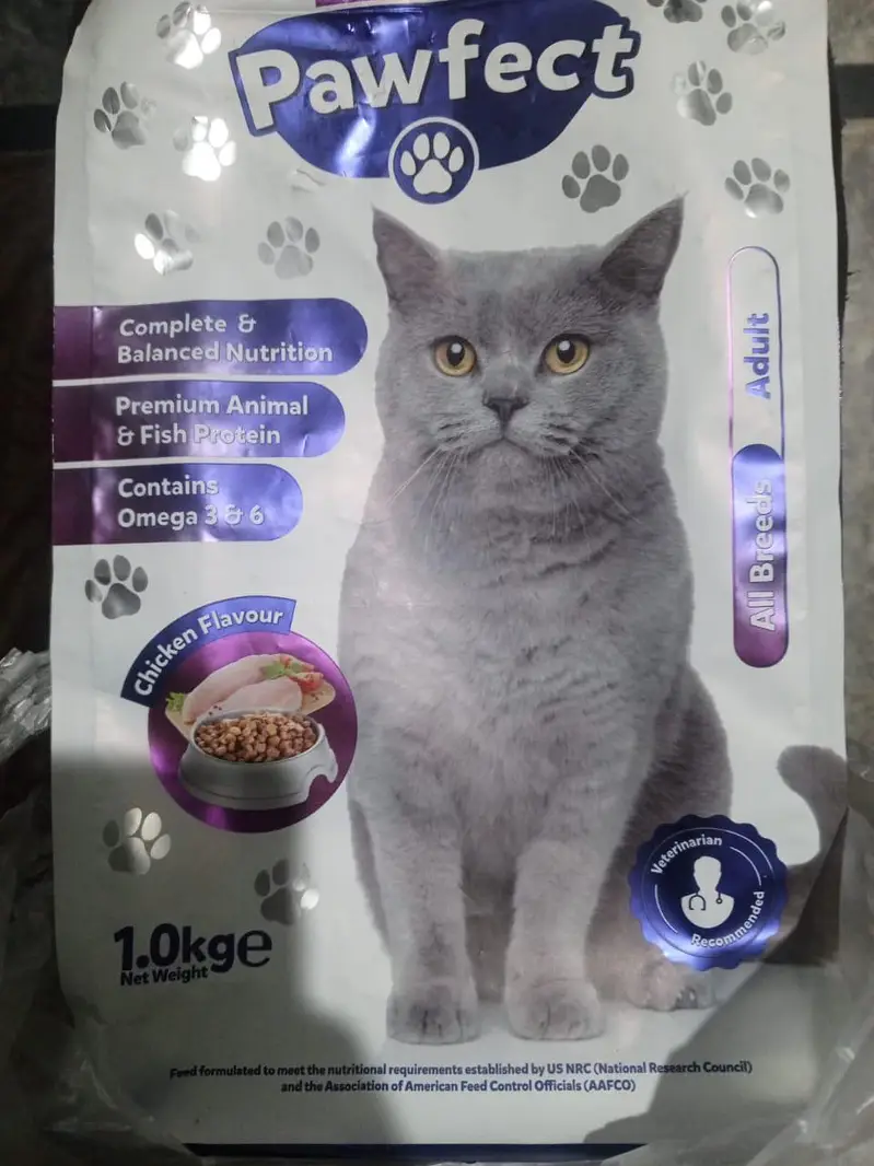 vaccinated cat Whatsapp number 0 3 1 3 5 7 5 4 5 4 8 phone number — photo 4