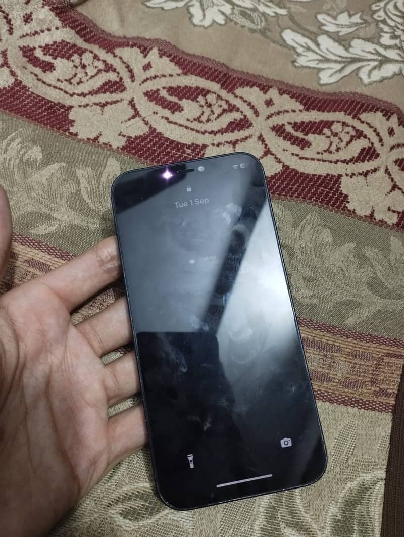 Apple iPhone 12 1