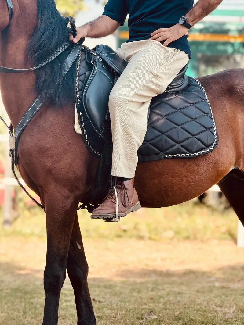 Neza Baz Horse for Sale — photo 2