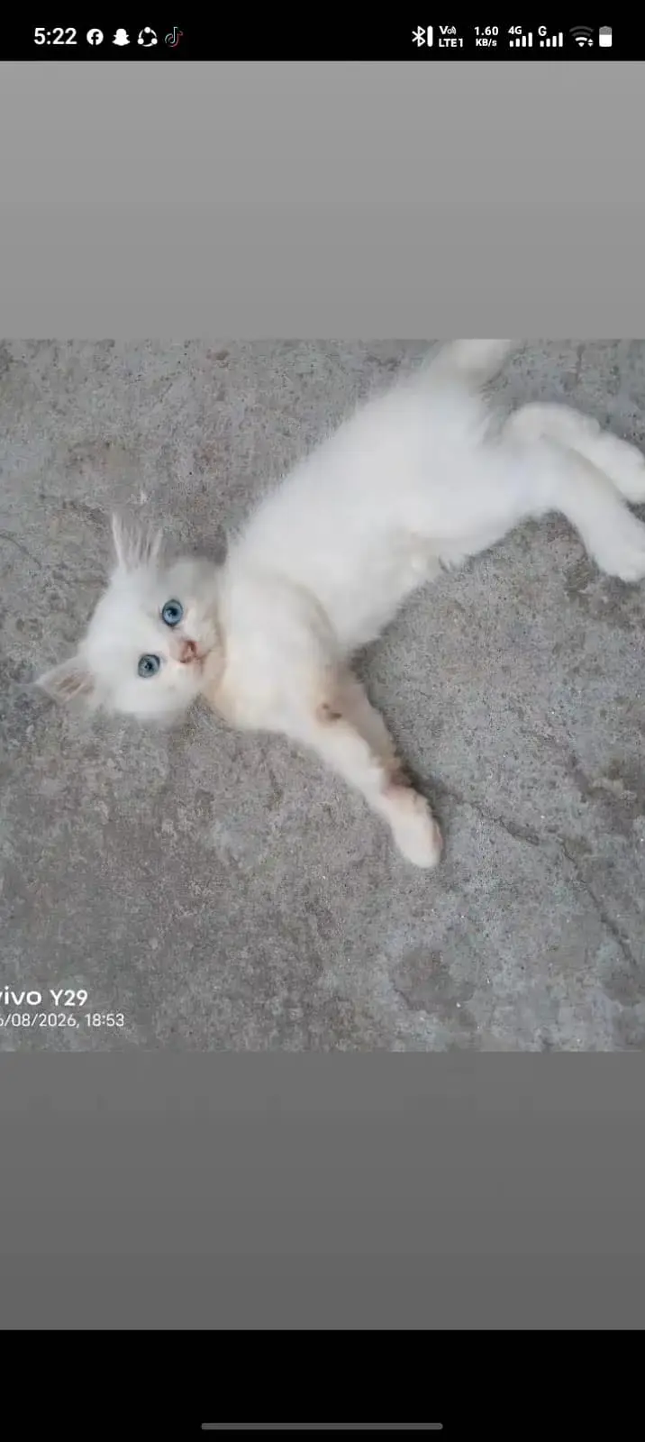 Person kitty’s — photo 2
