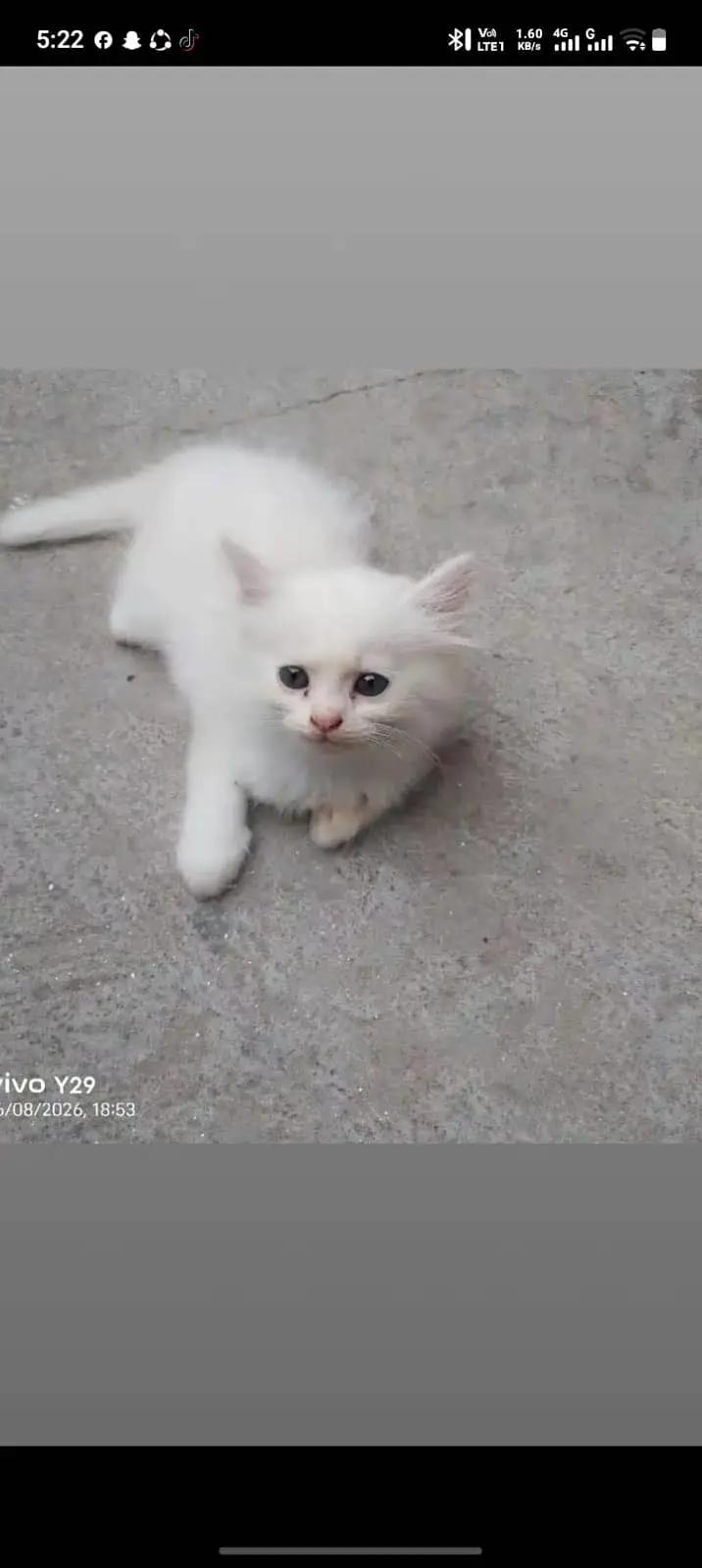 Person kitty’s — photo 3