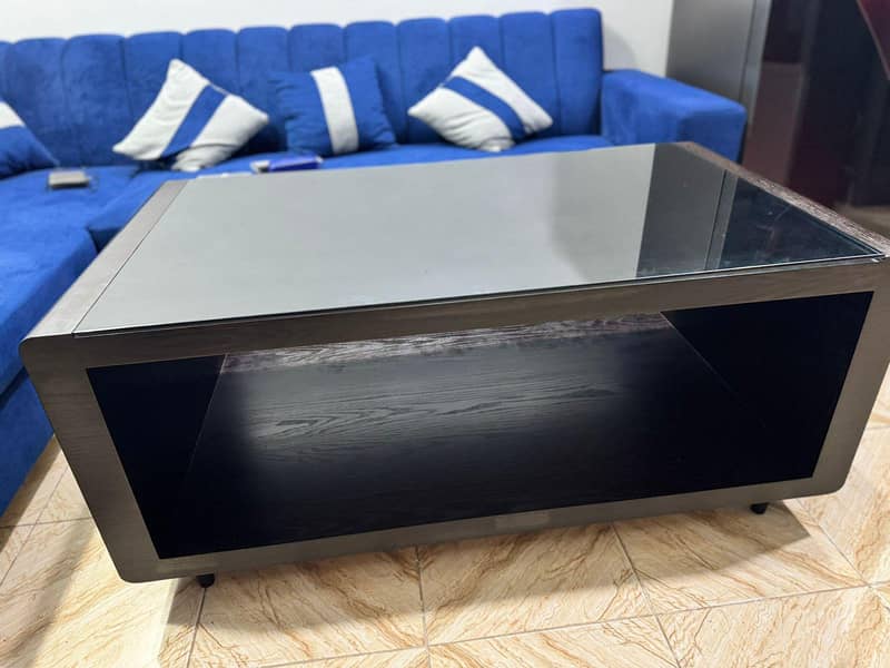 Center Table (Coffee Table) 0