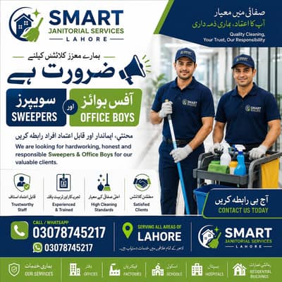 need office boy or sweeper