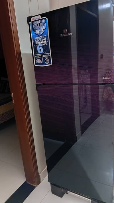 DAWLANCE GLASS DOOR