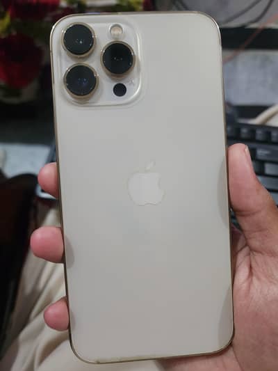 Apple iPhone 13 Pro Max