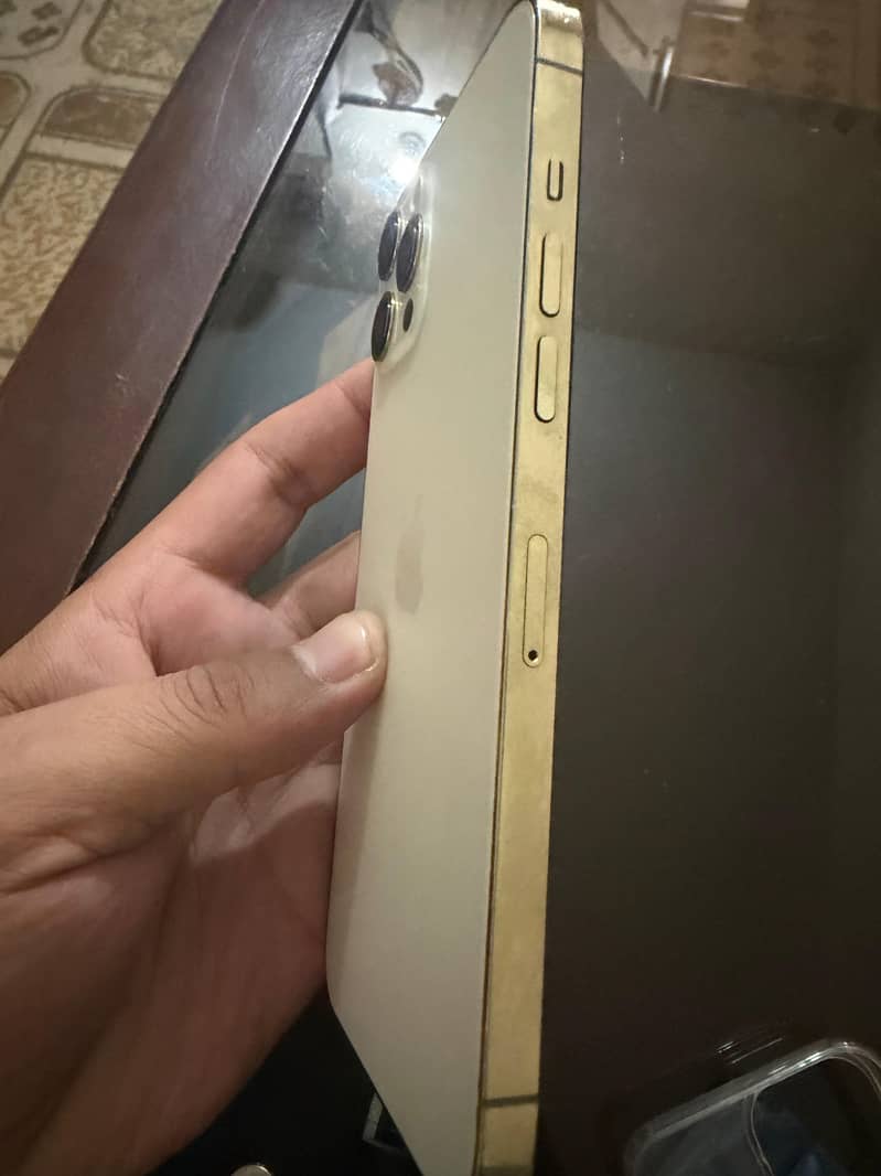 Apple iPhone 12 Pro Max 2