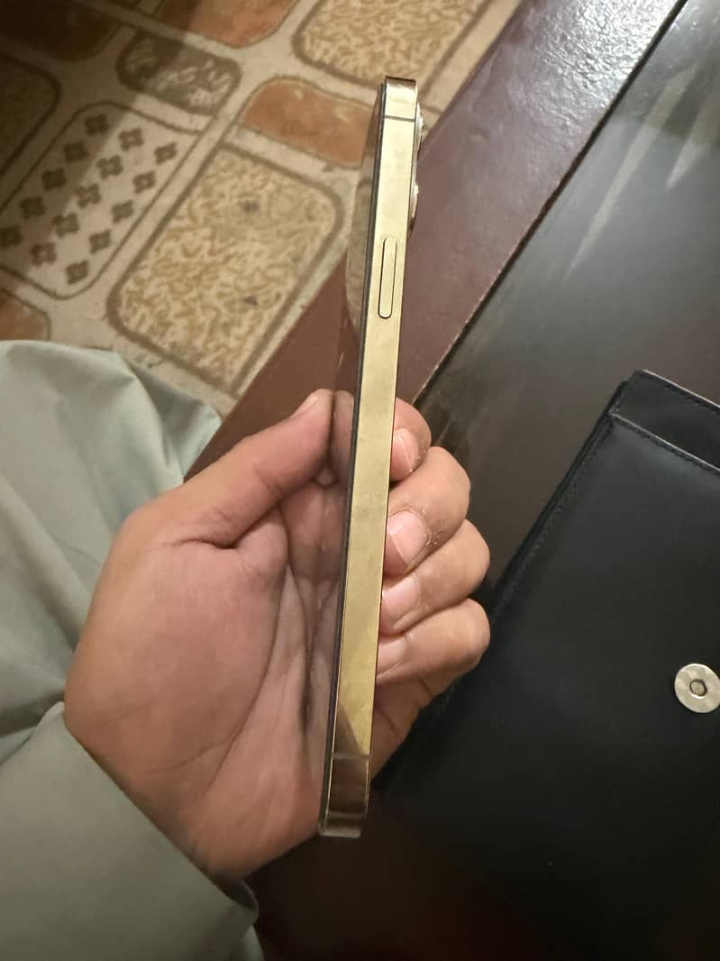 Apple iPhone 12 Pro Max 4