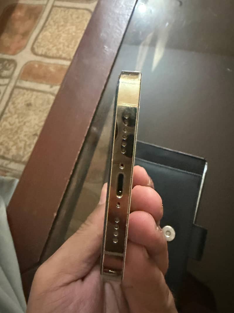 Apple iPhone 12 Pro Max 10
