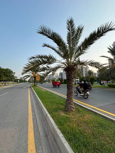 5 MARLA COMMERCIAL IDEAL LOCATION PLOT FOR SALE BAHRIA TOWN LAHORE