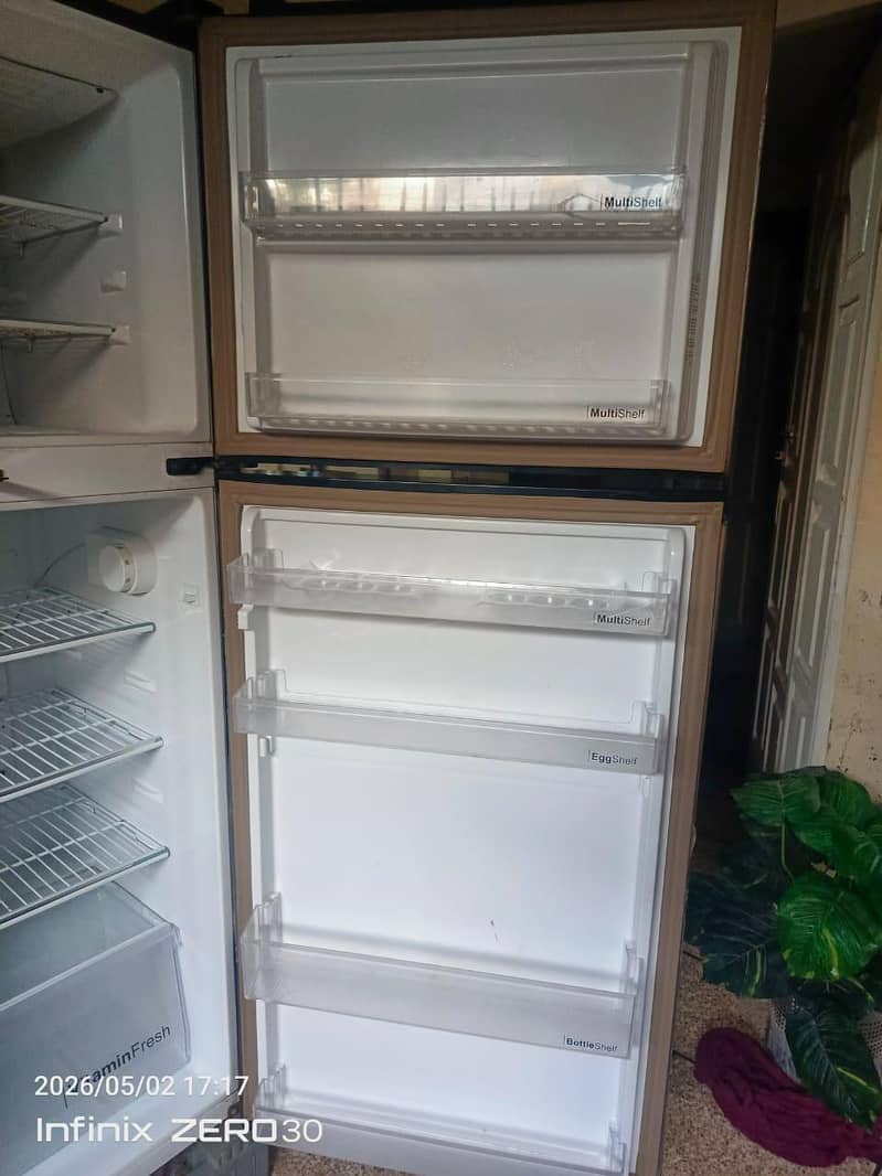 frige 5