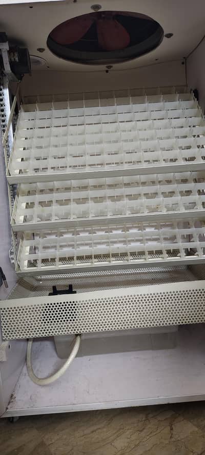 fully automatic incubator