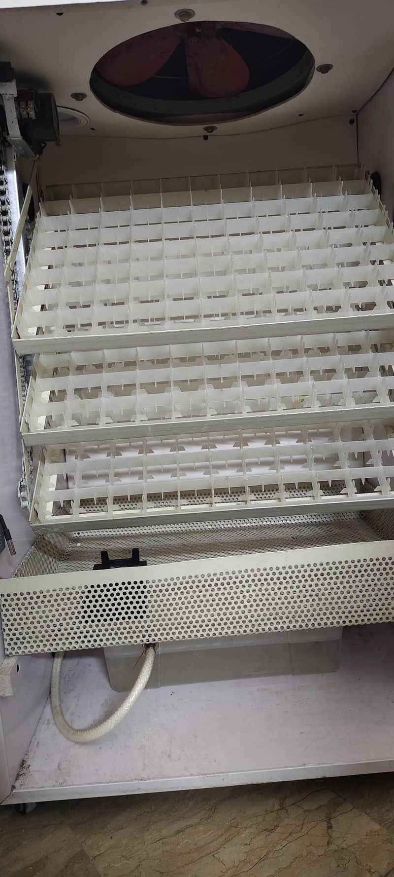 fully automatic incubator 0