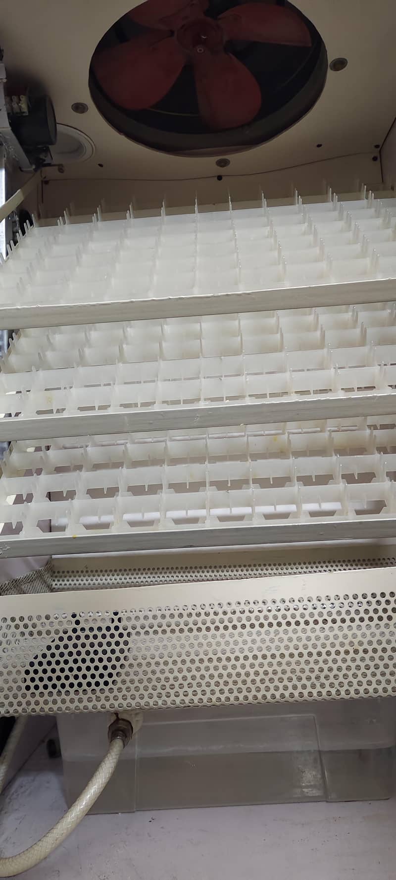 fully automatic incubator 1